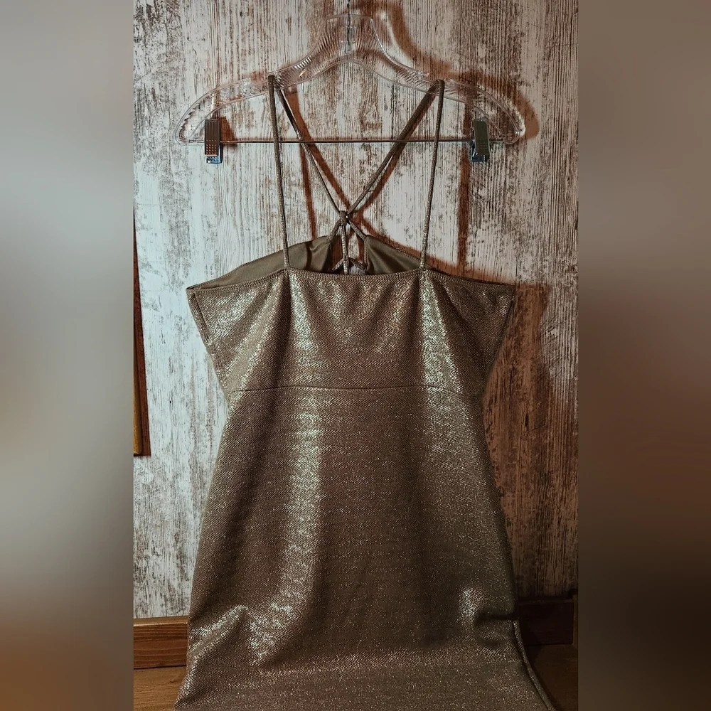 Charlotte Russe elegant metallic